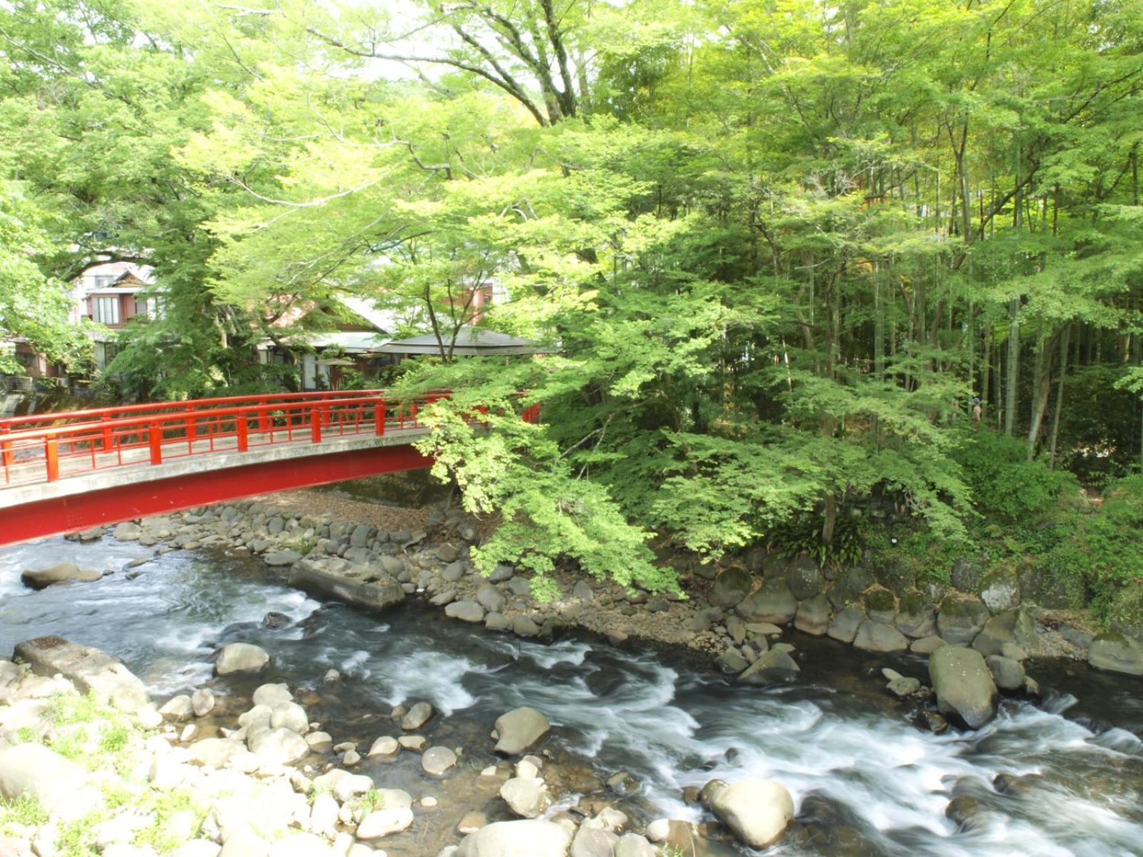 Arai Ryokan Hotel Шидзуока Екстериор снимка